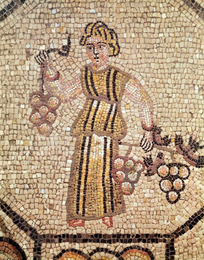 The Grape Seller by Roman